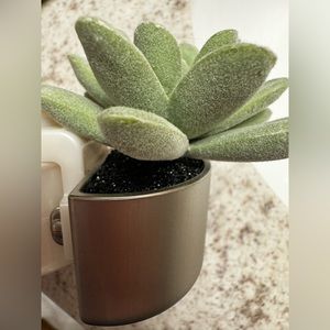 Bath and Body Works succulent wallflower plugin